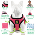 Load image into Gallery viewer, EcoBark Step In Dog Harness - XXXS to Small Breeds- Reflective Soft Mesh Harness for Teacup, Small Dogs and Puppies / Bubblegum Pink