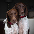 Load image into Gallery viewer, Buffalo Check Dog Collar