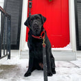 Load image into Gallery viewer, Buffalo Check Martingale