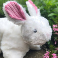 Load image into Gallery viewer, Squooshie™ Bunny Plush Dog Toy - image 3