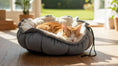 Load image into Gallery viewer, Bowsers Buttercup Cozy Pet Bed in cloud