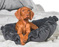 Load image into Gallery viewer, Bowsers Buttercup Cozy Pet Bed in cloud