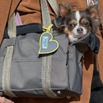 Small dog bag in grey nylon with yellow details