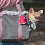 Small dog bag in grey nylon with pink details