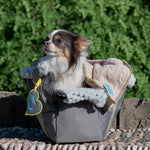 Ivory pure wool dog blanket with braided knit design