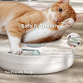 Load image into Gallery viewer, Brioche 6 Meal Cordless Automatic Pet Feeder with Two Ice Packs
