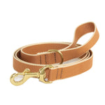 Color Market Dog Lead
