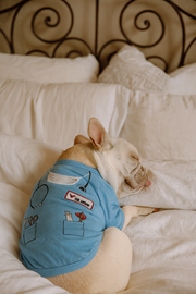 Parisian Pet 'Dr. Woof' Halloween Costume for Dogs & Cats – Fun Pet Costume, Dog Doctor Outfit for Halloween, Light Blue