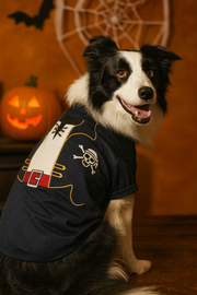 Parisian Pet 'Captain Spawrrow' Halloween Costume for Dogs & Cats – Fun Pirate Dog Costume, Pet Halloween Outfit, Red and Navy