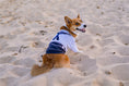 Load image into Gallery viewer, Parisian Pet 'Sailor Dog' Halloween Costume - Navy Blue Sailor Outfit for Dogs & Cats