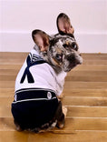 Load image into Gallery viewer, Parisian Pet 'Sailor Dog' Halloween Costume - Navy Blue Sailor Outfit for Dogs & Cats