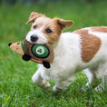 Load image into Gallery viewer, Boston Celtics Plush Hedgehog Toy