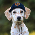 Load image into Gallery viewer, NFL Chicago Bears Dog Hat
