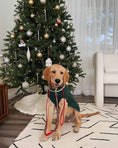 Load image into Gallery viewer, Reindeer Sweater