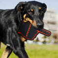 Load image into Gallery viewer, Cincinnati Bengals #1 Fan Toy