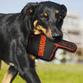 Load image into Gallery viewer, Cleveland Browns #1 Fan Toy