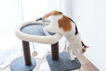 Lifted Multifunctional Cat Tree