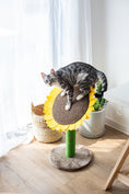 Load image into Gallery viewer, Cat Sunflower Tree Bed - Sisal Covered 2 in 1 Climbing Activity Tower
