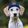 Load image into Gallery viewer, MLB Chicago Cubs Dog Hat