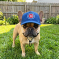 Load image into Gallery viewer, MLB Chicago Cubs Dog Hat