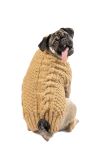 Load image into Gallery viewer, Camel Alpaca Cable Knit Dog Sweater
