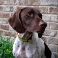 Load image into Gallery viewer, Up Country Candy Cane Cast Brass Dog Collar