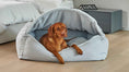 Load image into Gallery viewer, Bowsers Canopy Orthopedic Dog Bed in cloud