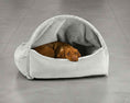 Load image into Gallery viewer, Bowsers Canopy Orthopedic Dog Bed in cloud