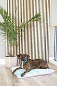 Load image into Gallery viewer, Capri Dog Bed