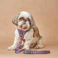 Load image into Gallery viewer, DOGISTRY 3-in-1 City Dog Leash - Lilac Gray