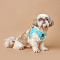 Load image into Gallery viewer, DOGISTRY SoHo Dog Harness - Fifth Avenue