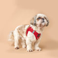 Load image into Gallery viewer, DOGISTRY SoHo Dog Harness - Iconic Red