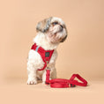 Load image into Gallery viewer, DOGISTRY 3-in-1 City Dog Leash - Iconic Red
