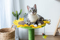 Load image into Gallery viewer, Cat Sunflower Tree Bed - Sisal Covered 2 in 1 Climbing Activity Tower