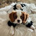 Load image into Gallery viewer, Designer Chanel-Inspired Tweed Dog Dress Coat - Southlake Paws