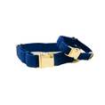 Load image into Gallery viewer, Channing Dog Collar