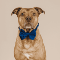 Load image into Gallery viewer, Channing Dog Bow Tie