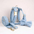 Load image into Gallery viewer, Light Blue Teddy Set