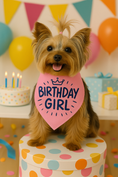 Load image into Gallery viewer, Parisian Pet 'Birthday Girl' Dog Bandana – Happy Birthday Pet Outfit, Party Scarf for Dogs & Cats, Perfect Gift & Accessories, Pink