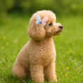 Load image into Gallery viewer, Mariposa Hair Bows