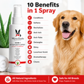 Load image into Gallery viewer, 10-In-1 Leave-In Conditioner and Detangling Spray
