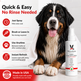Load image into Gallery viewer, 10-In-1 Leave-In Conditioner and Detangling Spray