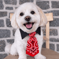 Load image into Gallery viewer, Ranch Collar Tie