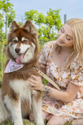 Load image into Gallery viewer, Cheers to Love Dog Bandana - Southlake Paws