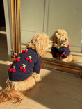 Load image into Gallery viewer, Puffers, Hoodies, Coats Premium Found My Animal Cherries 3D Icon Sweater