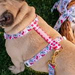 Frenchie Strap Harness - Cherries Red