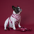 Load image into Gallery viewer, Frenchie Duo Reversible Harness - Ruby