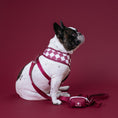 Load image into Gallery viewer, Frenchie Duo Reversible Harness - Ruby