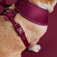 Load image into Gallery viewer, Frenchie Duo Reversible Harness - Ruby