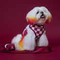 Load image into Gallery viewer, Frenchie Duo Reversible Harness - Ruby